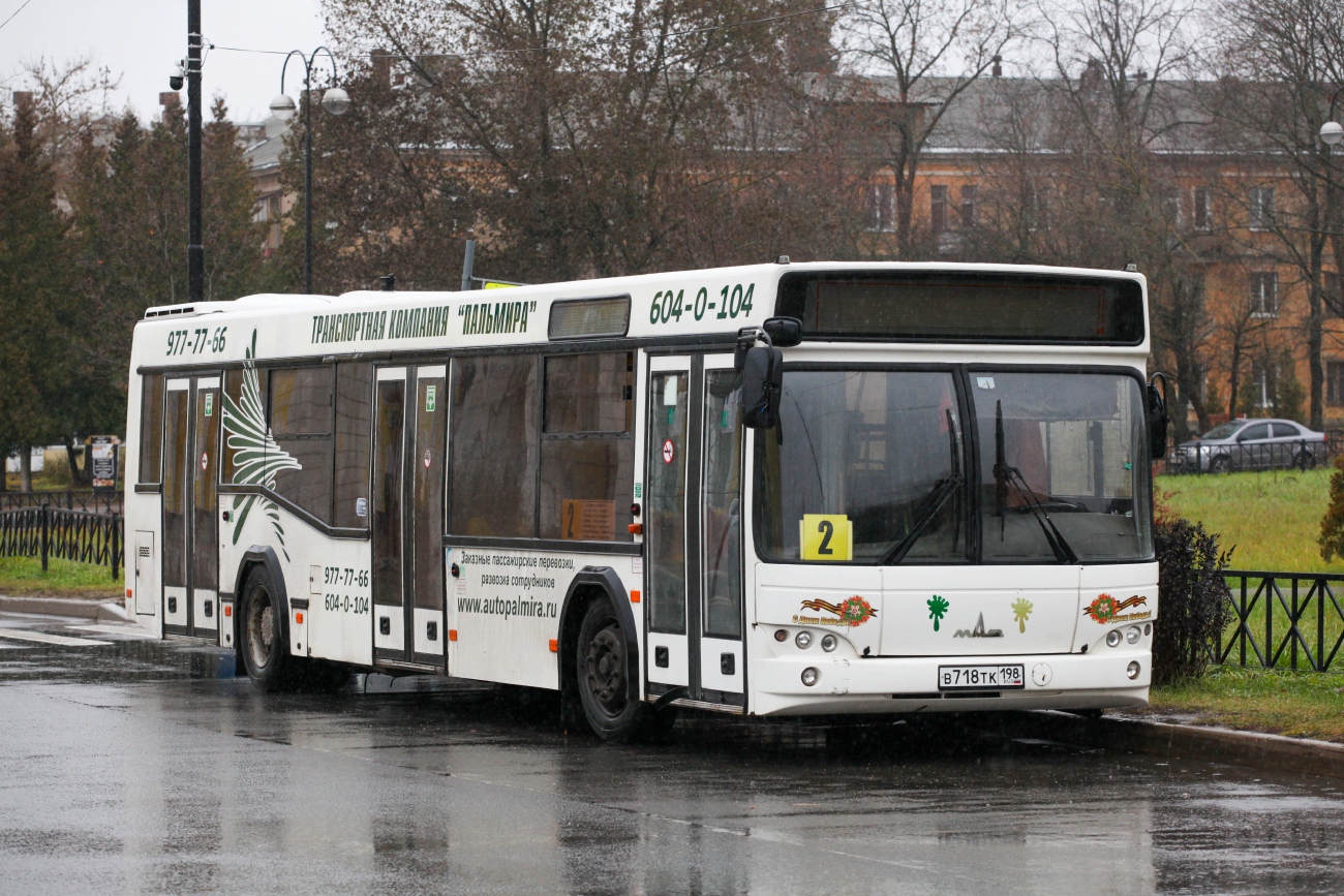 Ленинградская область, МАЗ-103.486 № В 718 ТК 198