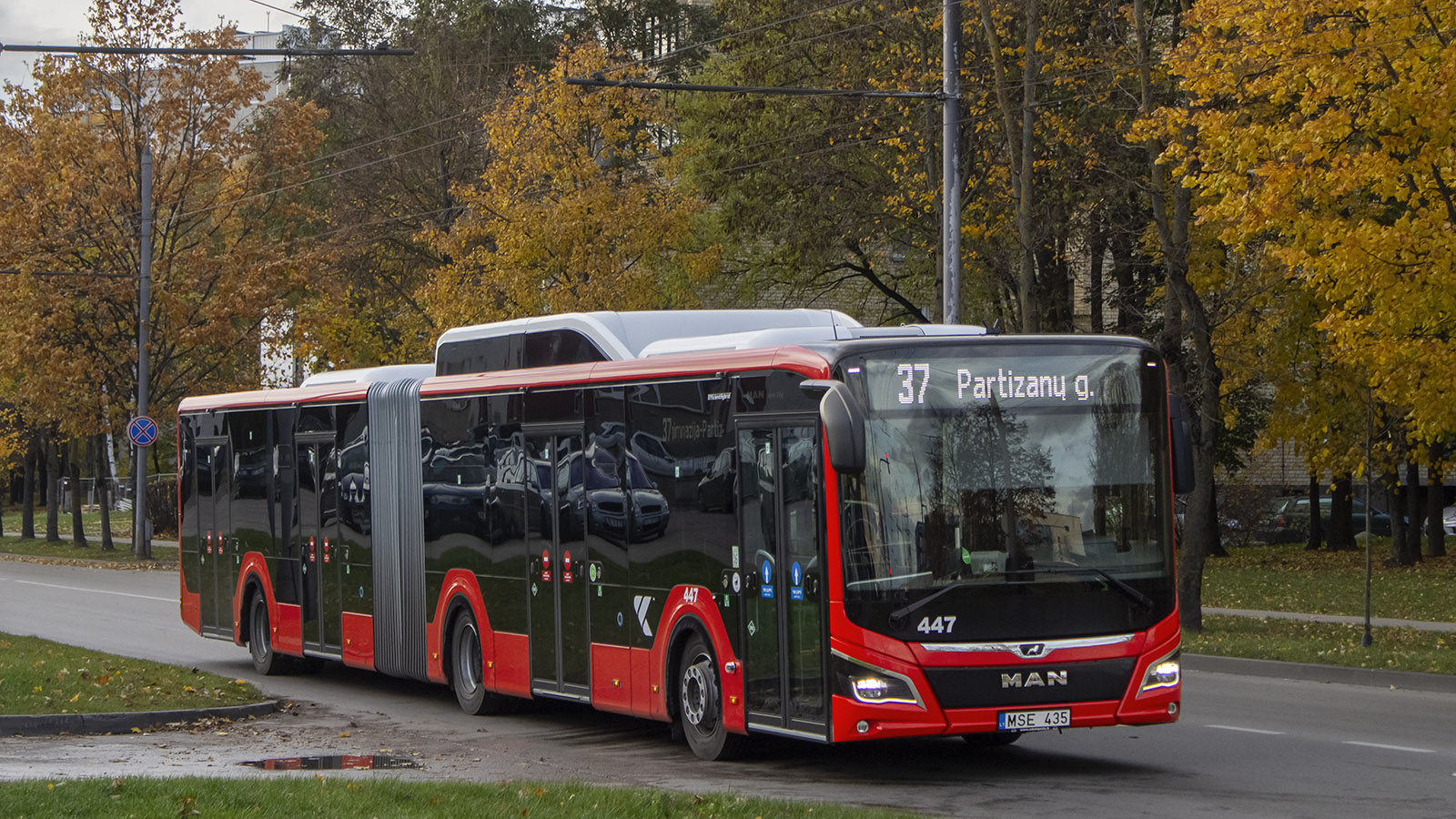 Литва, MAN 18C Lion's City 18 G NG320 EfficientHybrid № 447