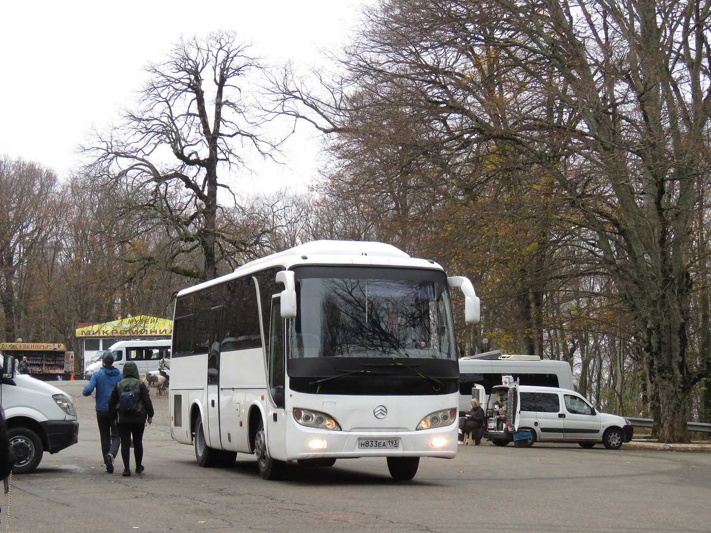 Краснодарский край, Golden Dragon XML6796E1G № Н 833 ЕА 193