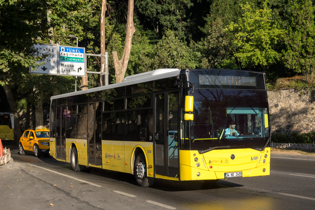 Турция, TEMSA Avenue 12LF № B-1531