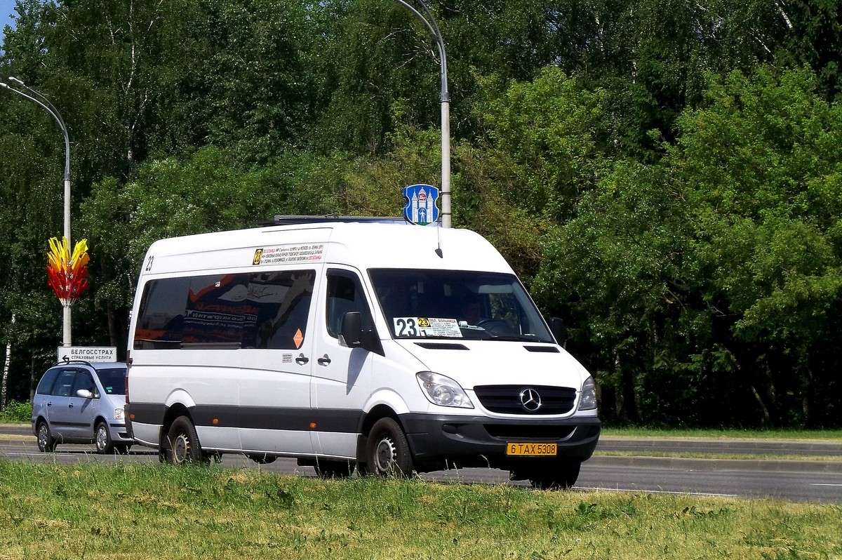 Могилёвская область, Бус-Мастер 3515N/R (MB Sprinter) № 6 ТАХ 5308