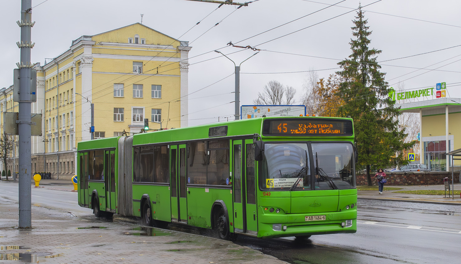 Могилёвская область, МАЗ-105.465 № 1049