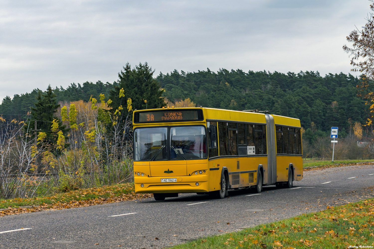 Гродненская область, МАЗ-105.465 № 011340