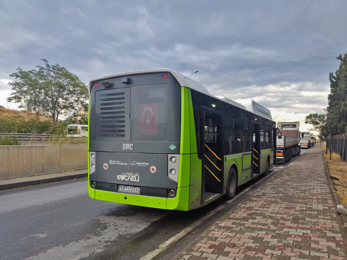 Турция, BMC Procity II 12LF CNG № 633