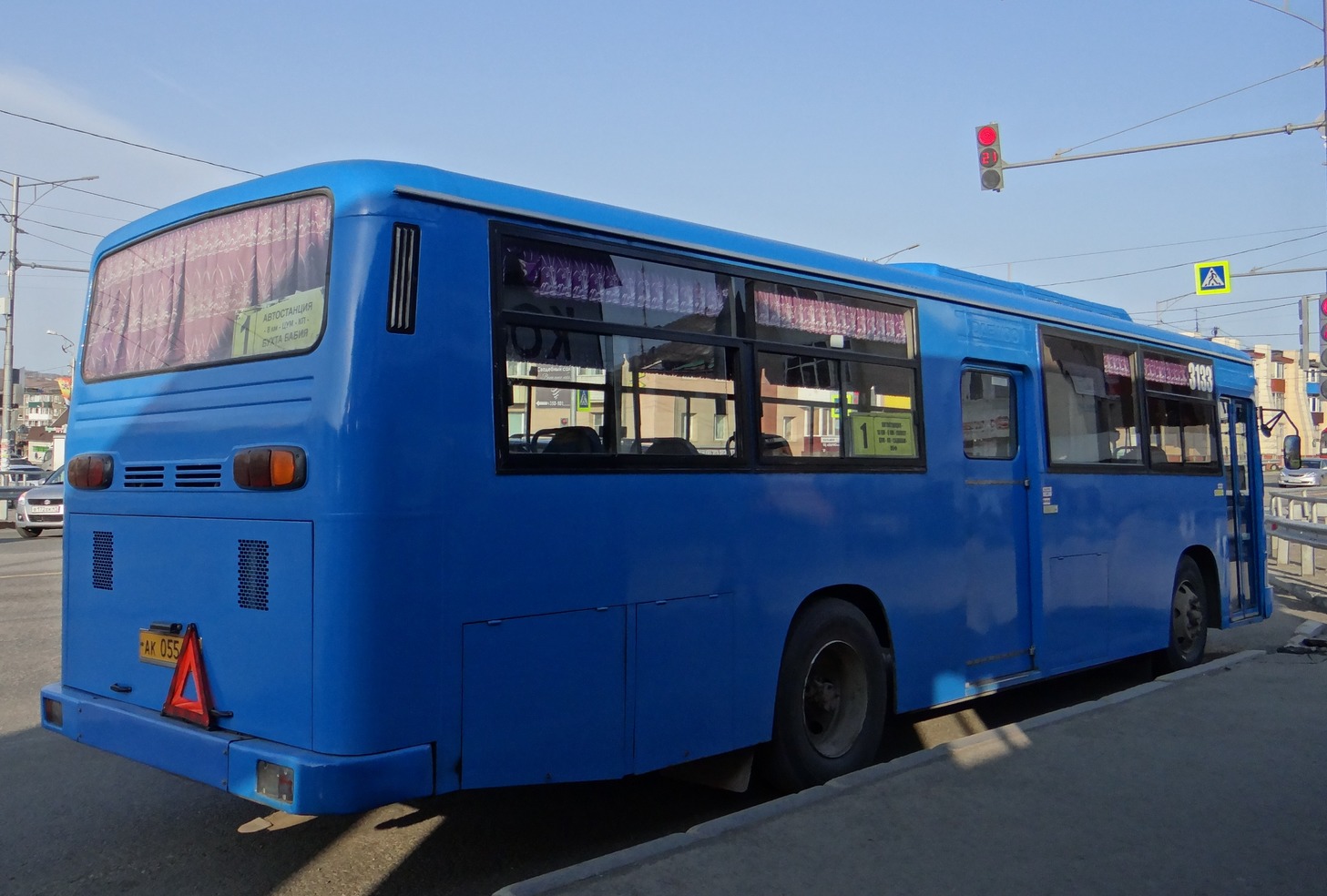 Камчатский край, Daewoo BS106 Royal City (Busan) № 3133