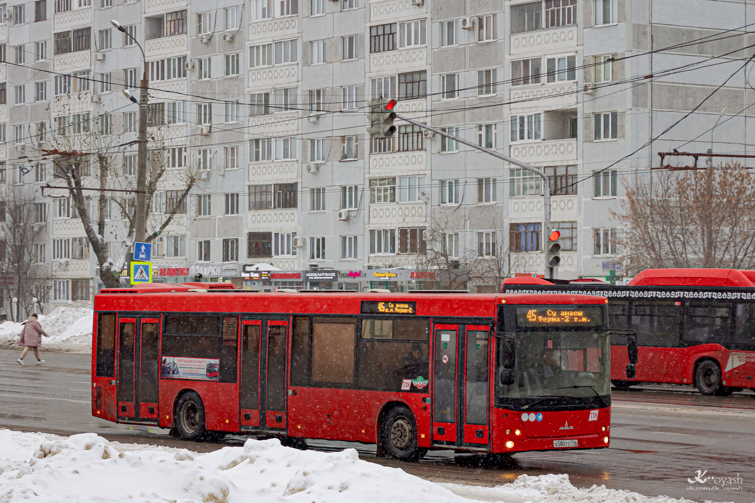 Татарстан, МАЗ-203.069 № 738