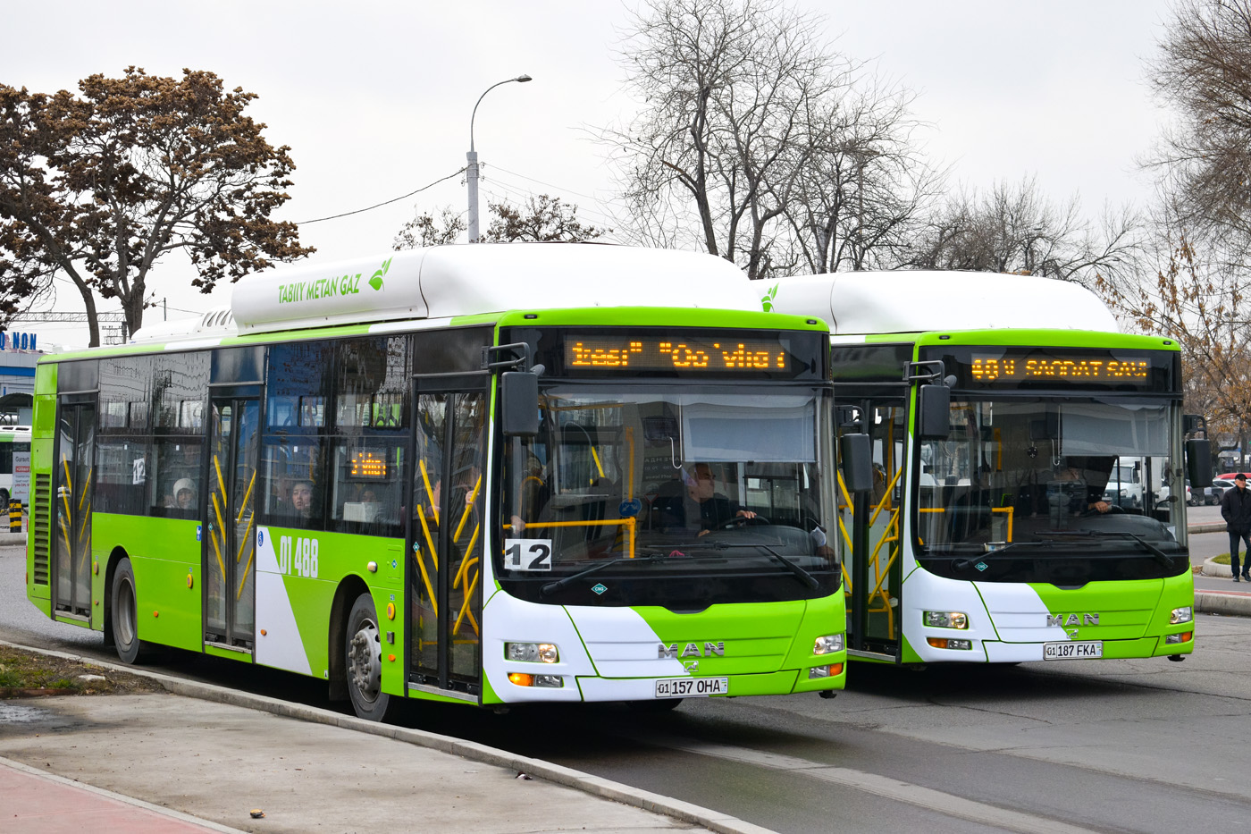 Узбекистан, Gemilang (MAN Auto-Uzbekistan) № 01488 Узбекистан, Gemilang (MAN Auto-Uzbekistan) № 01488