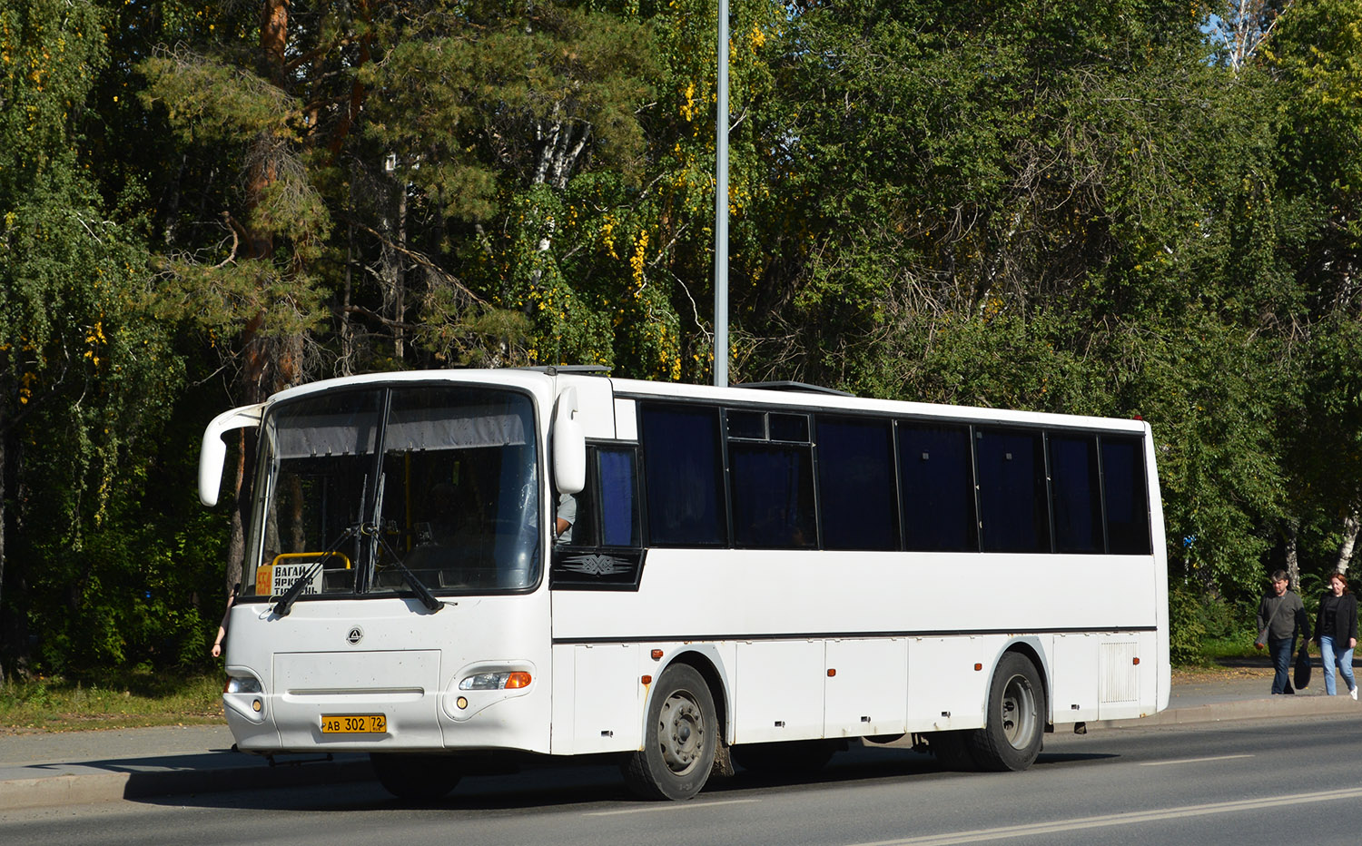 Тюменская область, КАвЗ-4238-42 № АВ 302 72