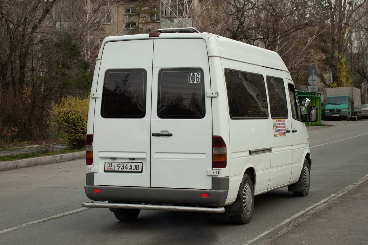 Кыргызстан, Mercedes-Benz Sprinter W901/W902 208CDI № 01 934 AJB