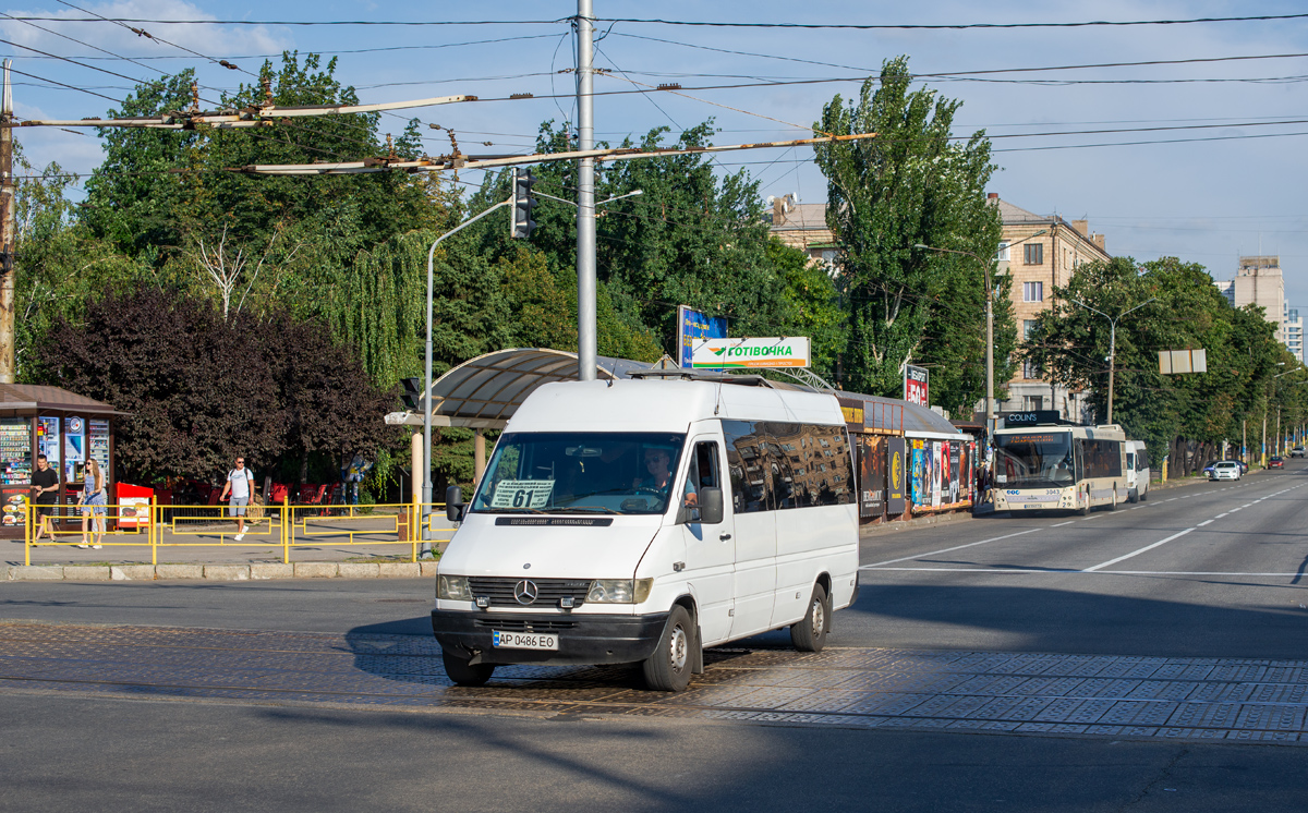 Запорожская область, Mercedes-Benz Sprinter W903 310D № AP 0486 EO