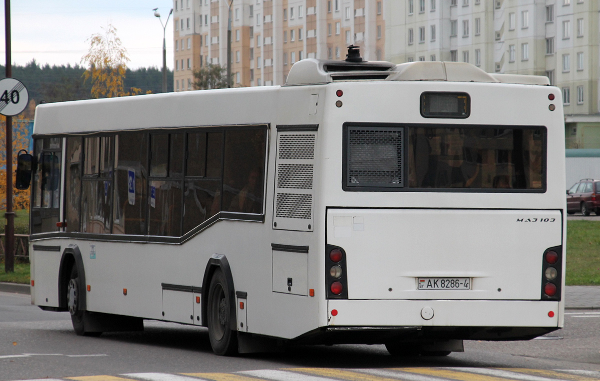 Гродненская область, МАЗ-103.486 № 040142