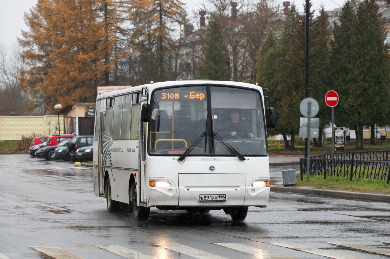 Ленинградская область, КАвЗ-4235-61 № Е 891 АХ 198