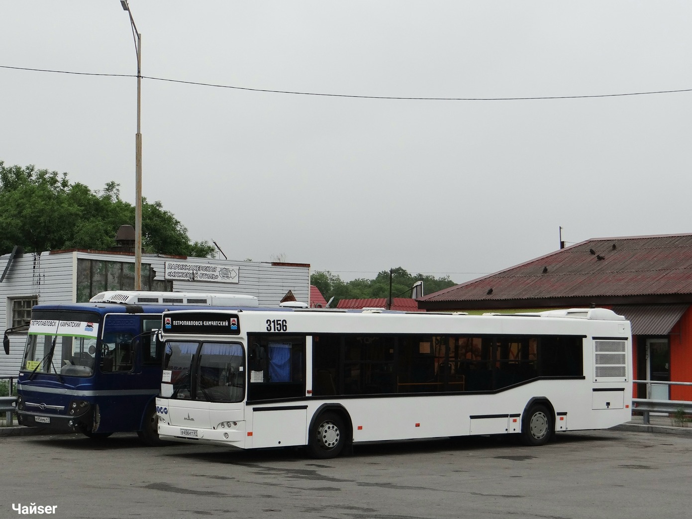 Камчатский край, МАЗ-103.486 № 3156