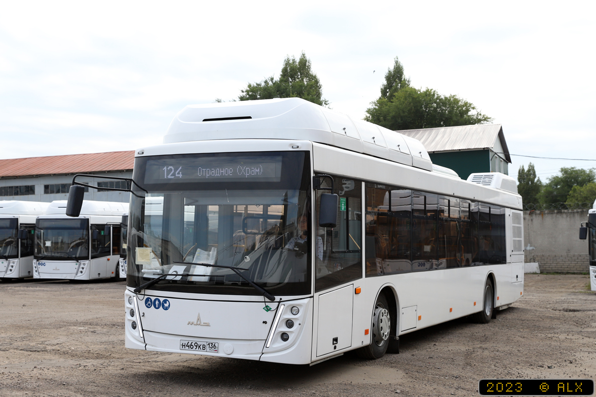 Воронежская область, МАЗ-203.948 № Н 469 КВ 136