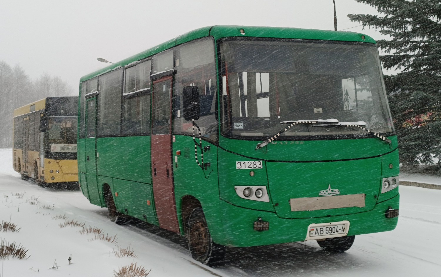 Гродненская область, МАЗ-256.270 № 31283