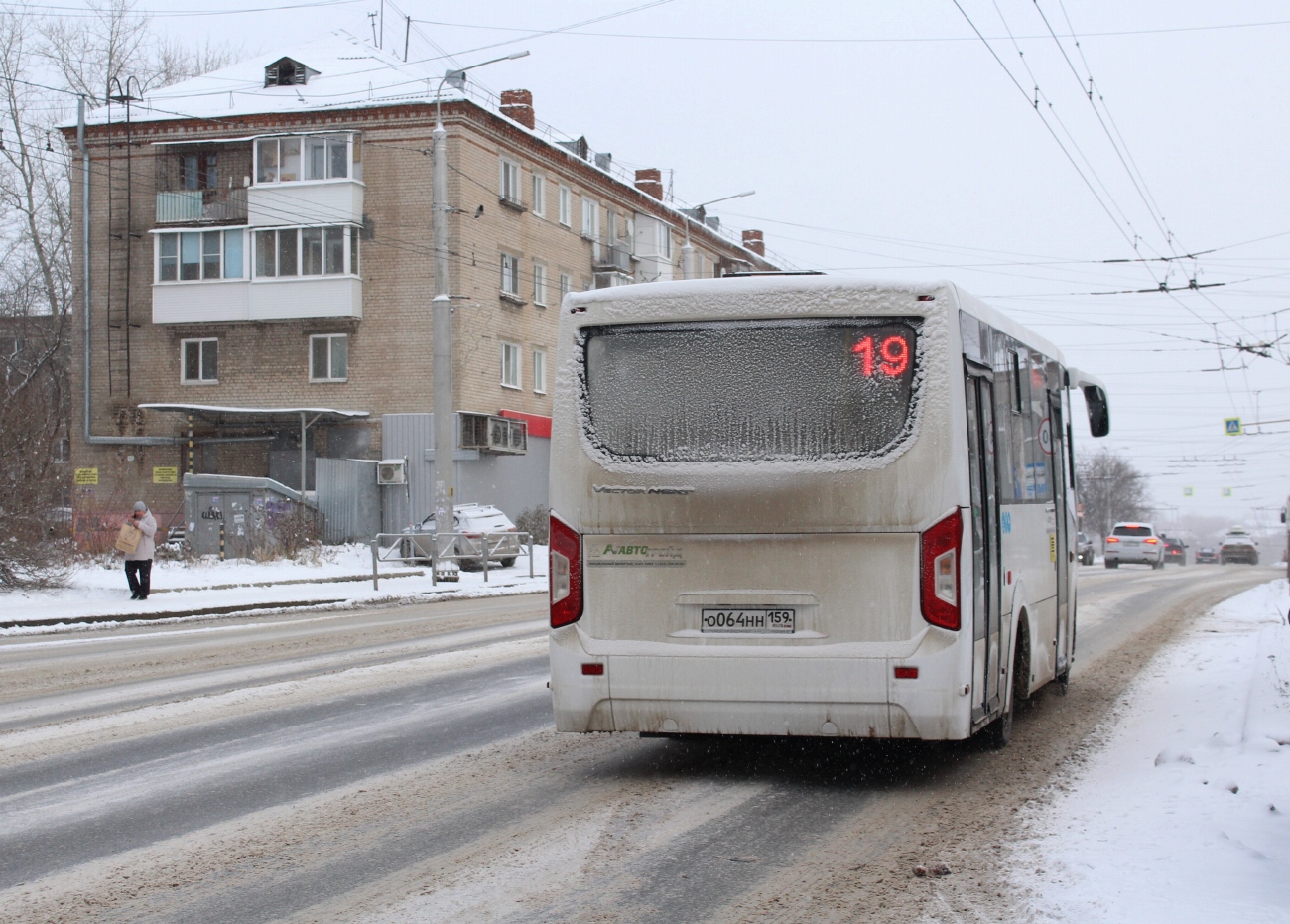 Пермский край, ПАЗ-320435-04 "Vector Next" № О 064 НН 159