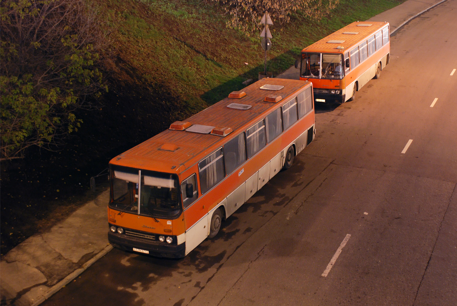 Москва, Ikarus 250.59 № У 774 СЕ 177