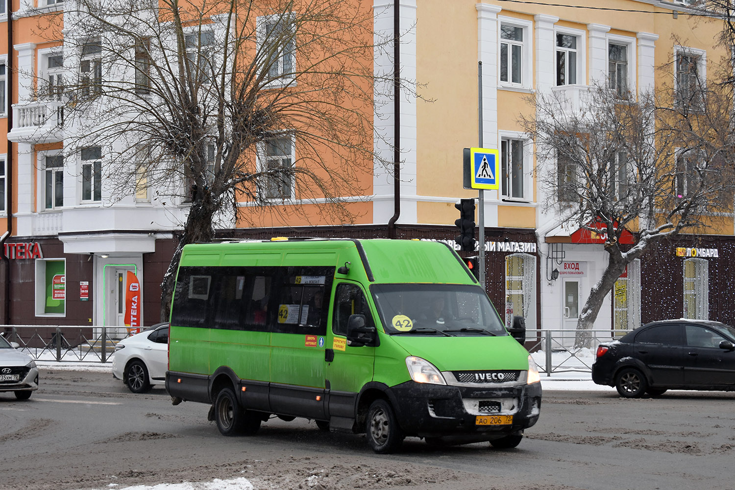 Тюменская область, Нижегородец-2227UU (IVECO Daily) № АО 206 72