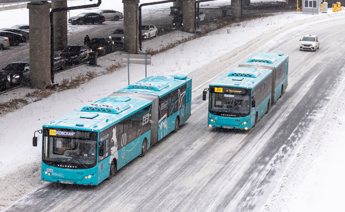 Санкт-Петербург, Volgabus-6271.02 № 7334; Санкт-Петербург, Volgabus-6271.02 № 7404