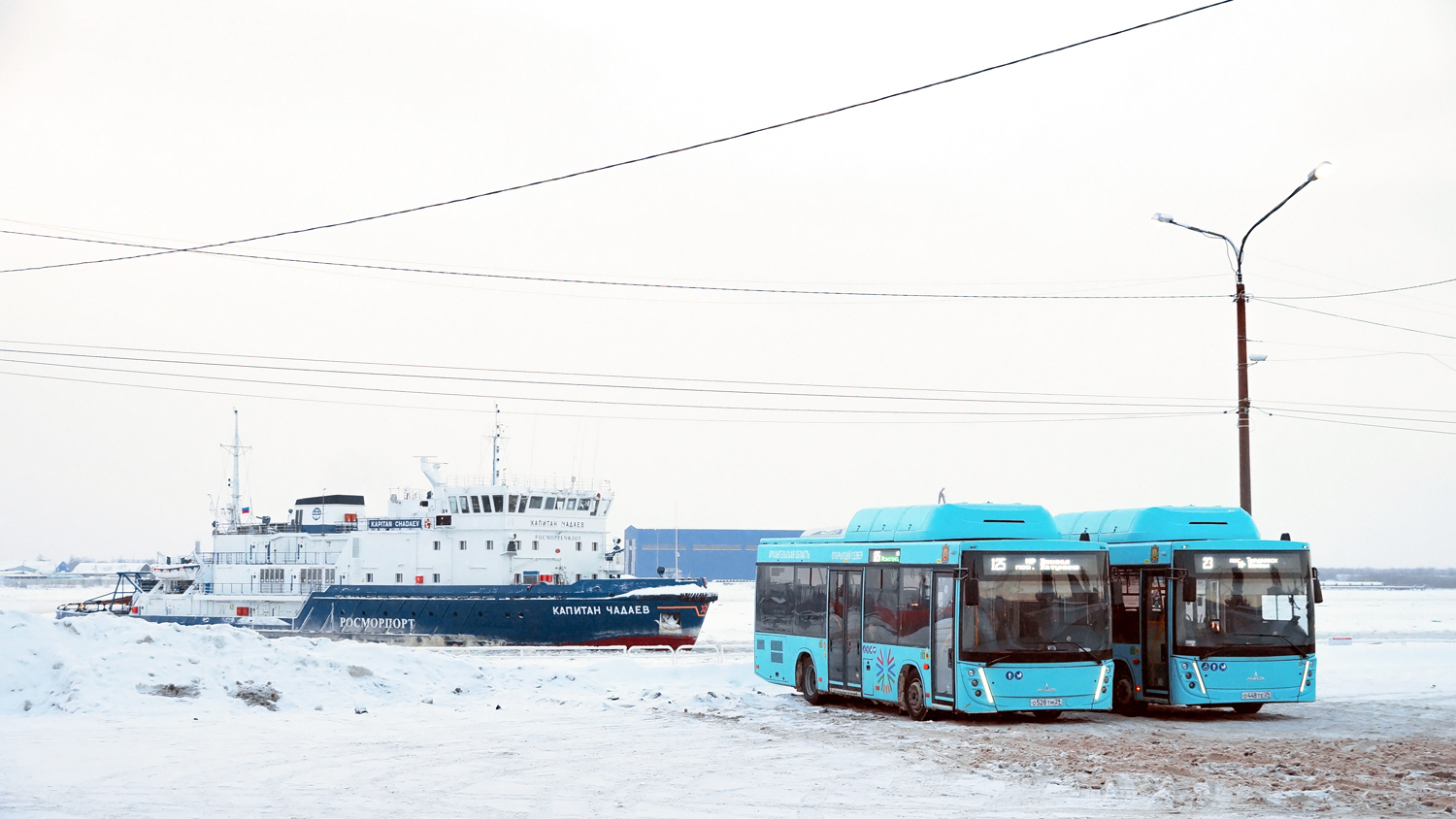 Архангельская область, МАЗ-206.948 № О 528 ТМ 29