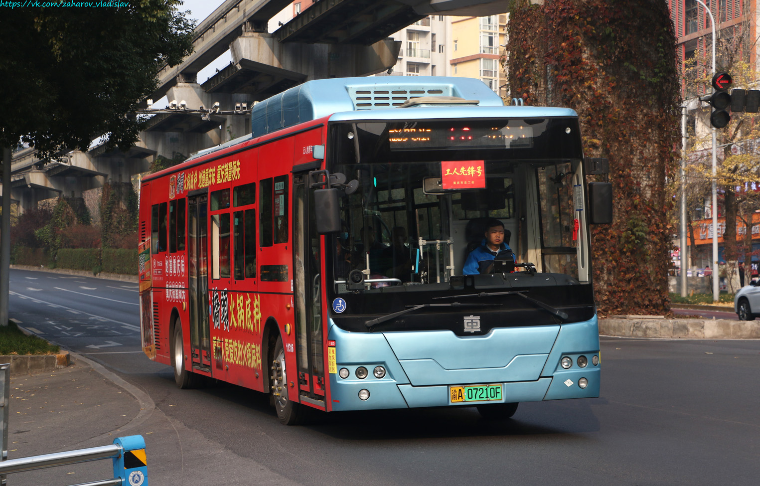 Китай, CRRC TEG6129EHEVN08 № 11316