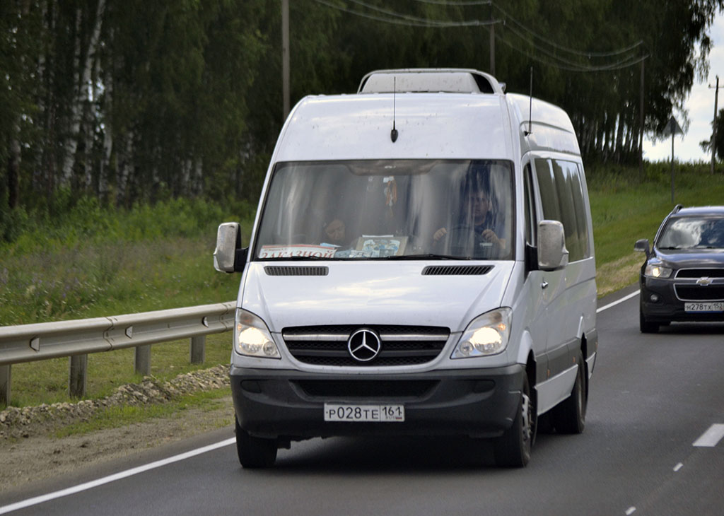 Ростовская область, Луидор-223612 (MB Sprinter) № Р 028 ТЕ 161
