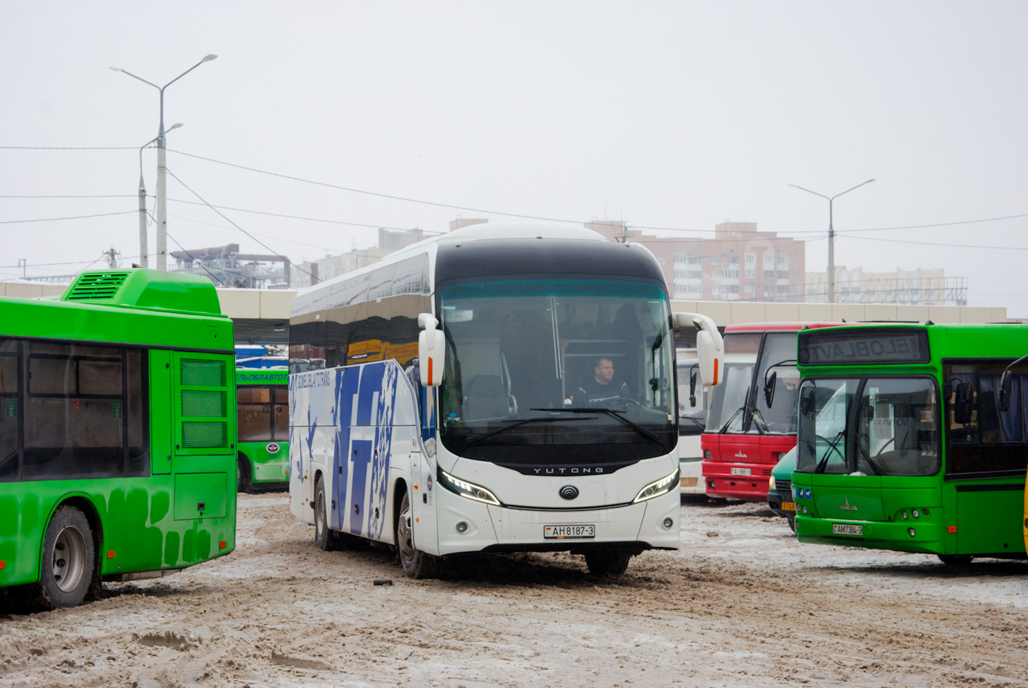 Гомельская область, Yutong C12PRO (ZK6128H) № 016251