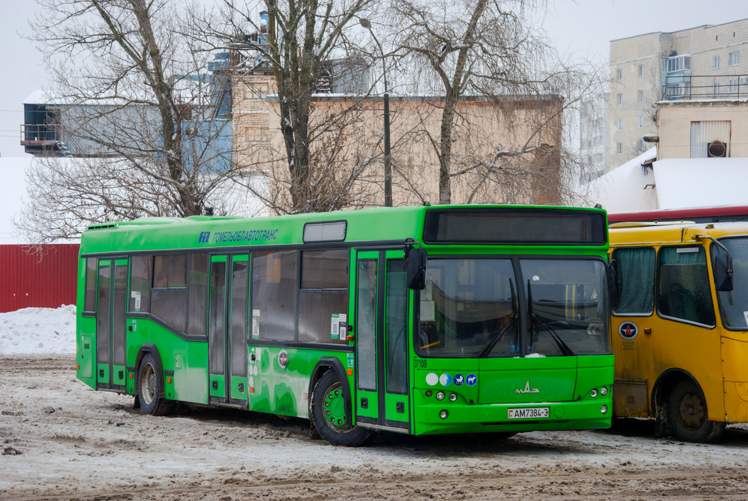 Гомельская область, МАЗ-103.486 № 037109