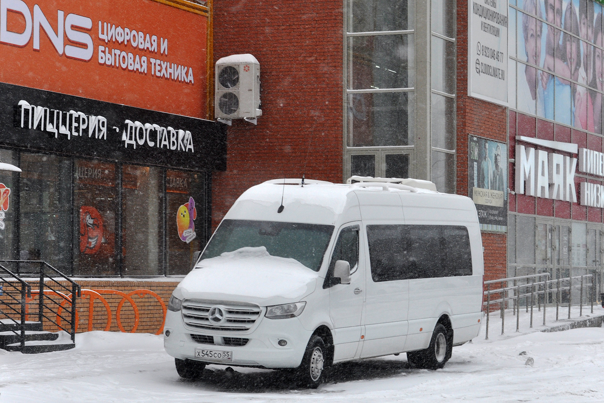 Омская область, Луидор-223602 (MB Sprinter) № Х 545 СО 55