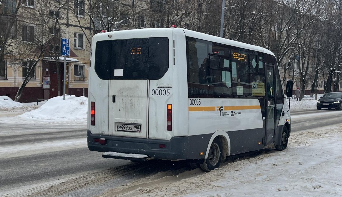 Московская область, Луидор-225019 (ГАЗ Next) № 00005
