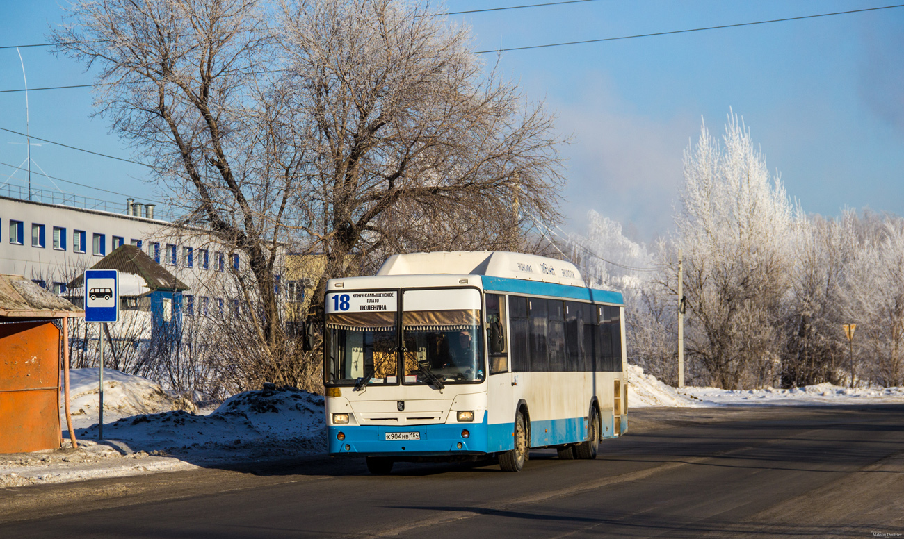Новосибирская область, НефАЗ-5299-30-31 № К 904 НВ 154