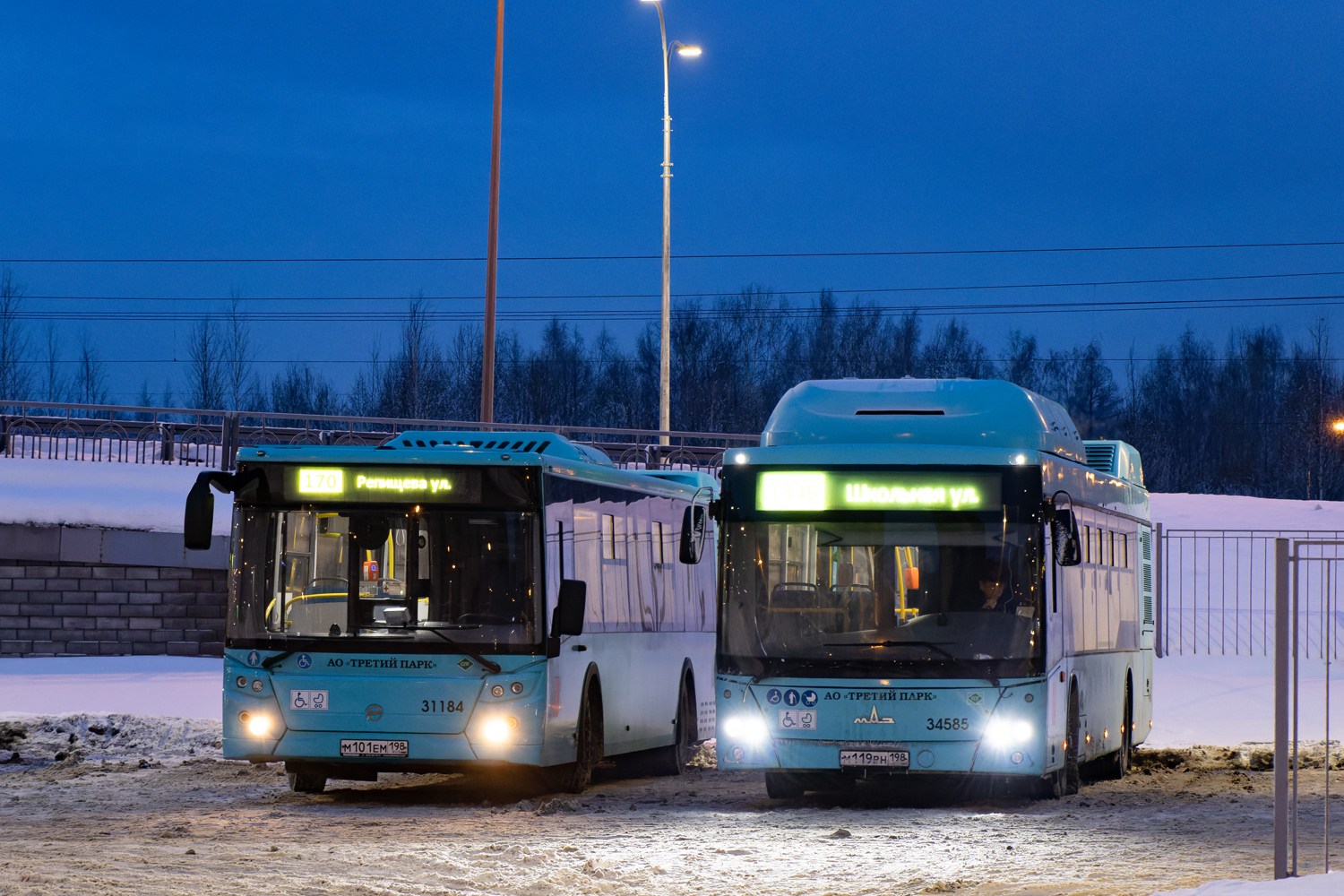 Санкт-Петербург, МАЗ-203.C46 № 34585