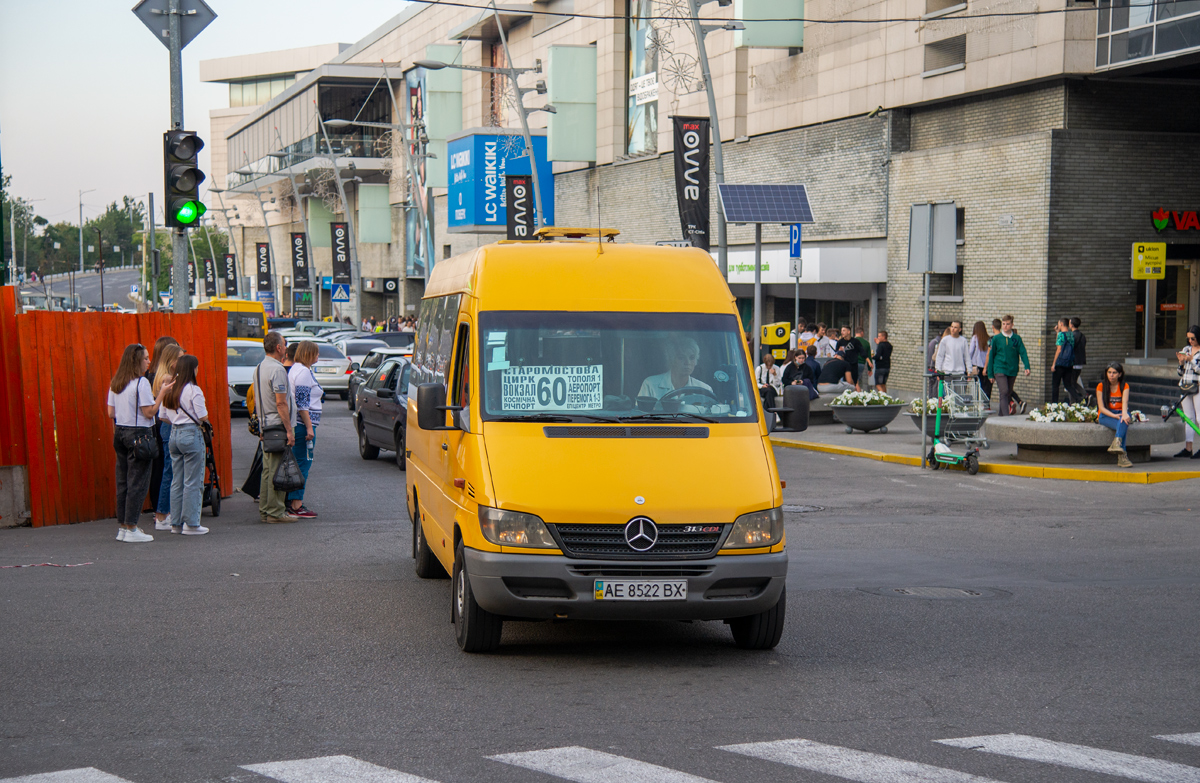 Dnepropetrovsk region, Mercedes-Benz Sprinter W903 313CDI # AE 8522 BX