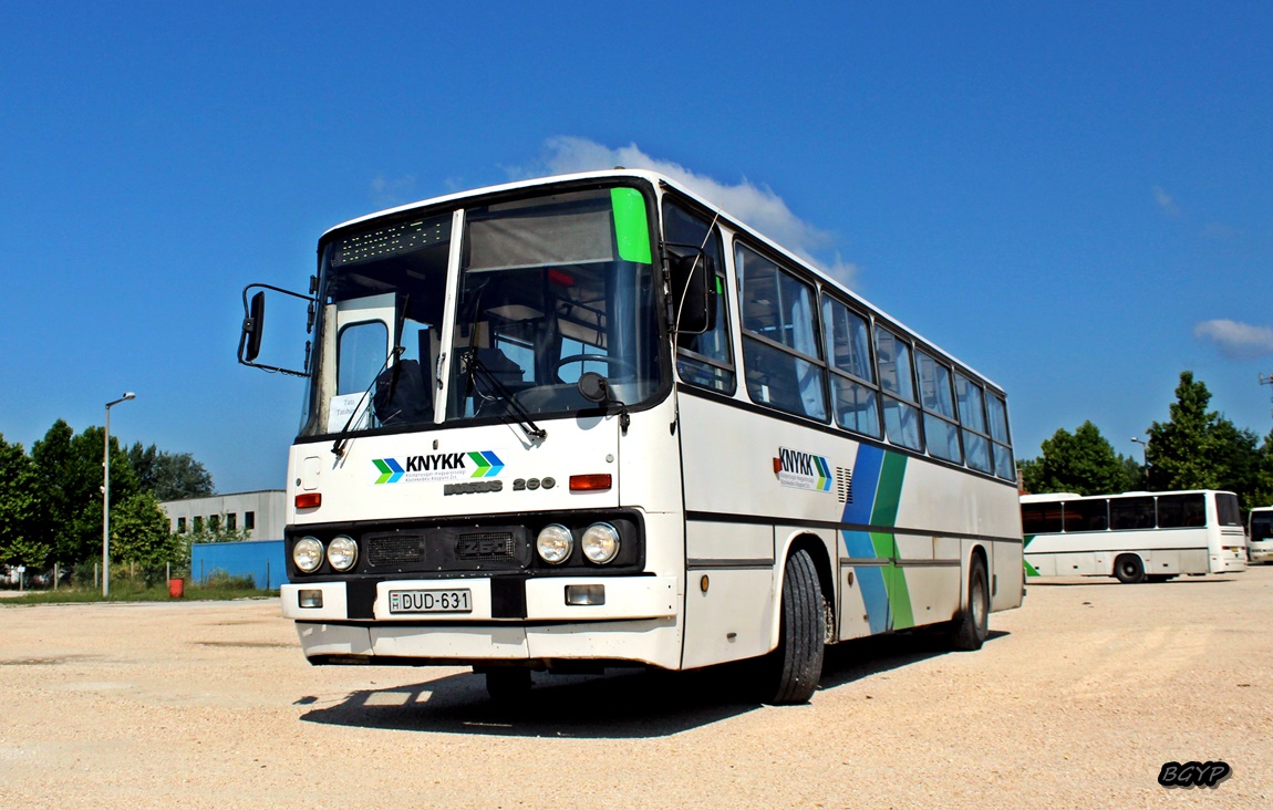 Ikarus bus автобусы. Икарус 250. Икарус 280 гармошка. Ikarus bus автобусы. 12.