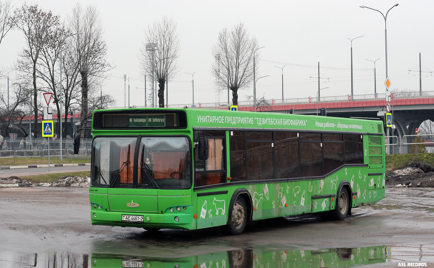 Витебская область, МАЗ-103.562 № АЕ 4461-2