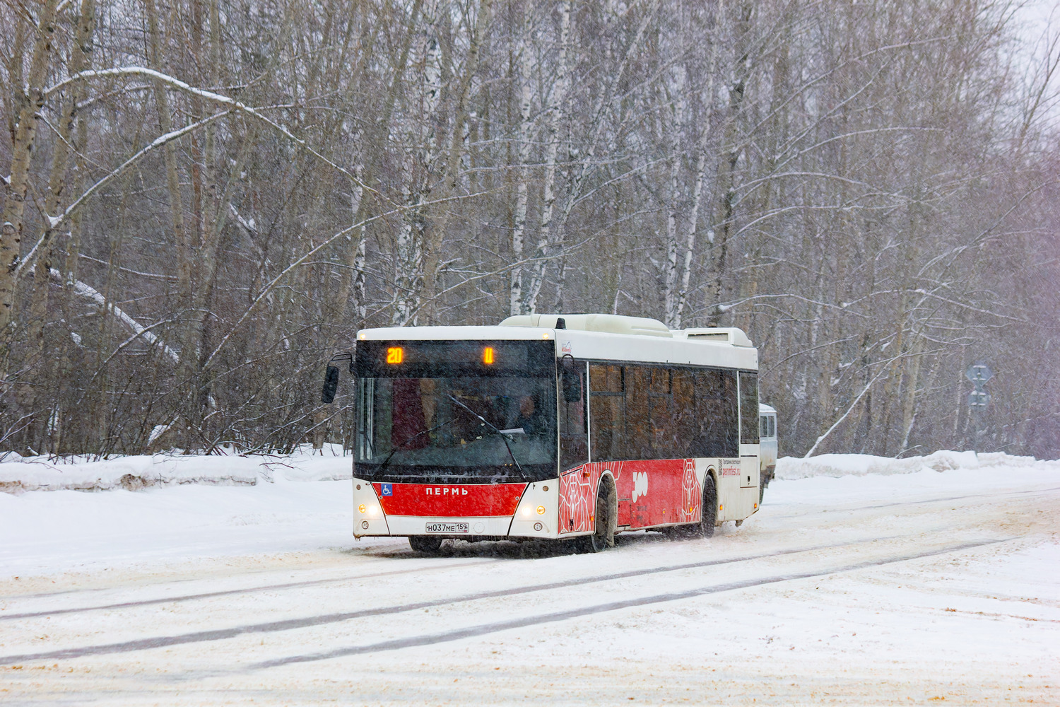Пермский край, МАЗ-203.016 № Н 037 МЕ 159