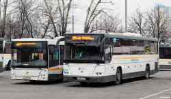 648 КБ