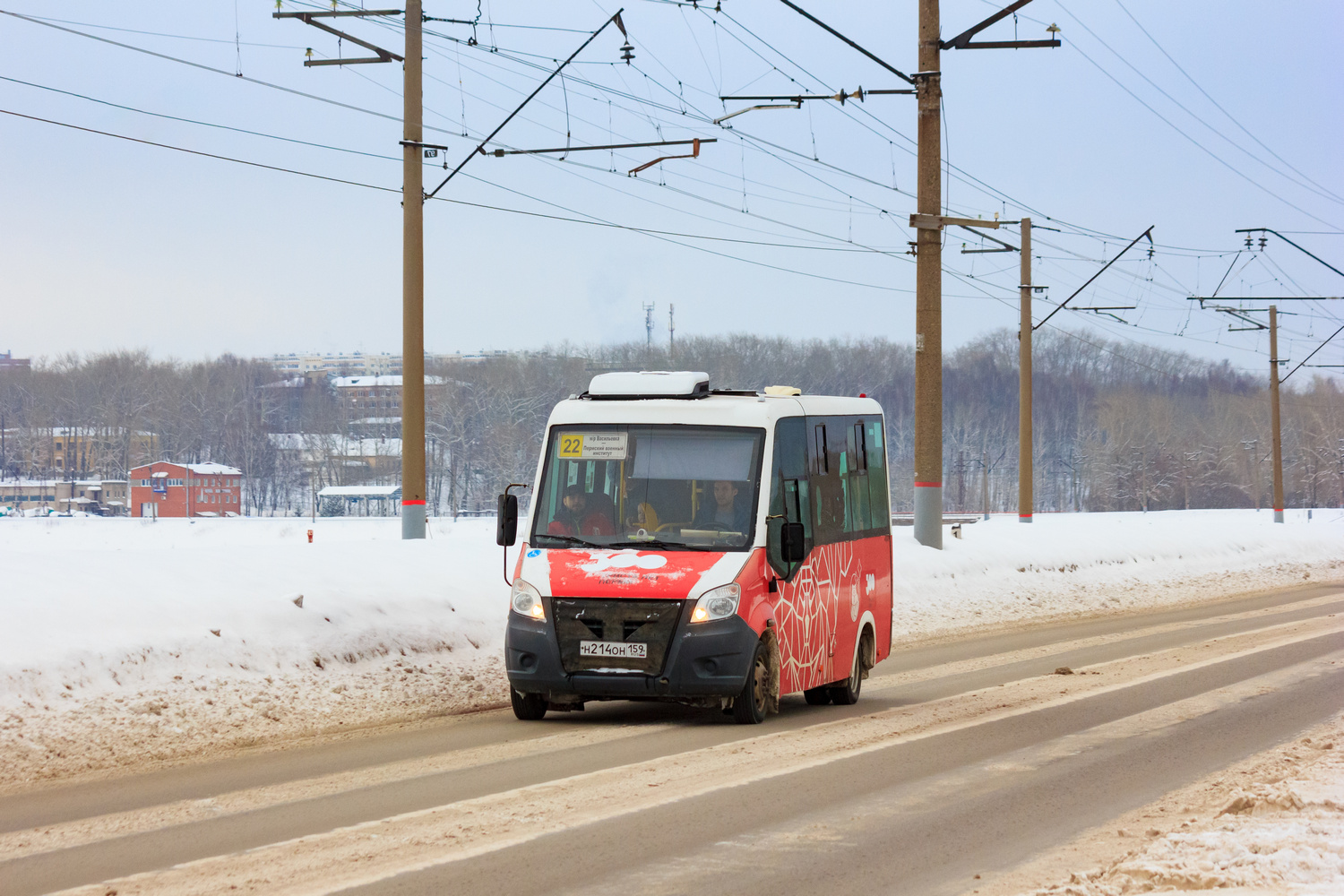 Пермский край, Луидор-2250DS (ГАЗ Next) № Н 214 ОН 159