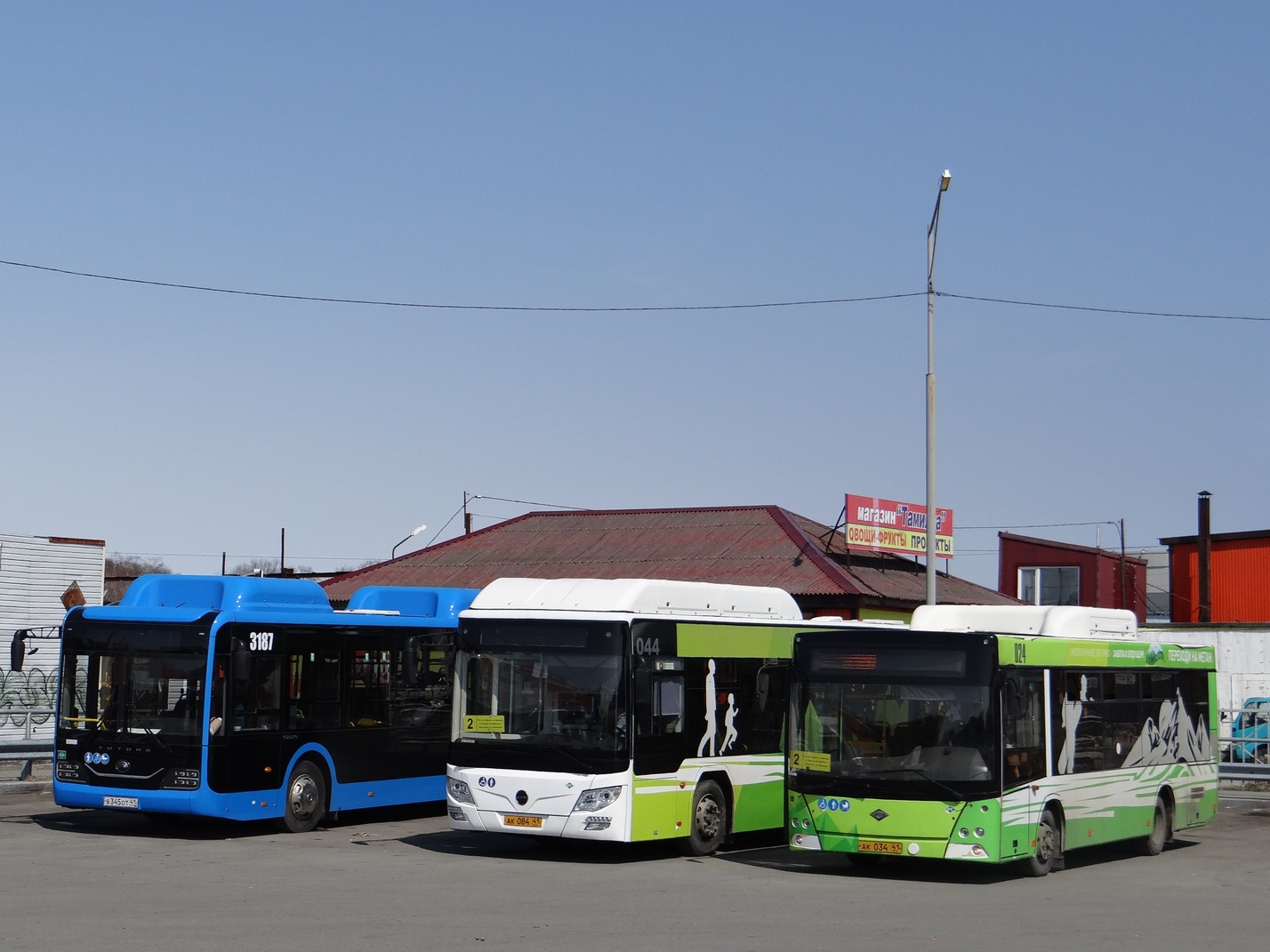 Камчатский край, Lotos-206 № 024