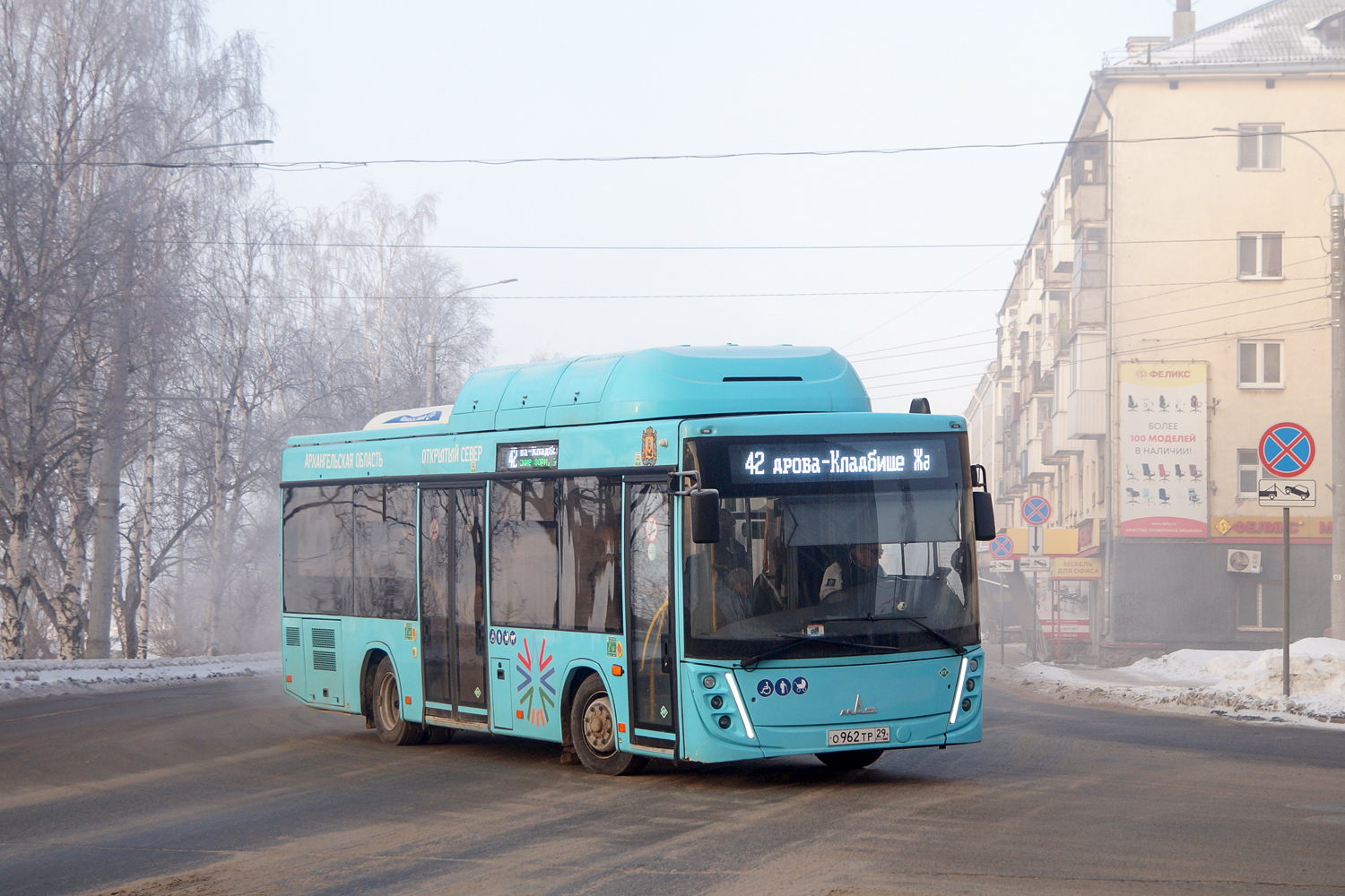 Архангельская область, МАЗ-206.948 № О 962 ТР 29
