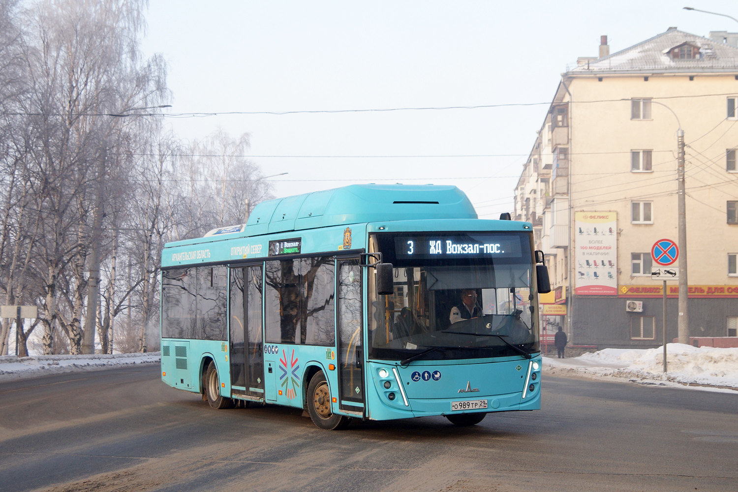 Архангельская область, МАЗ-206.948 № О 989 ТР 29