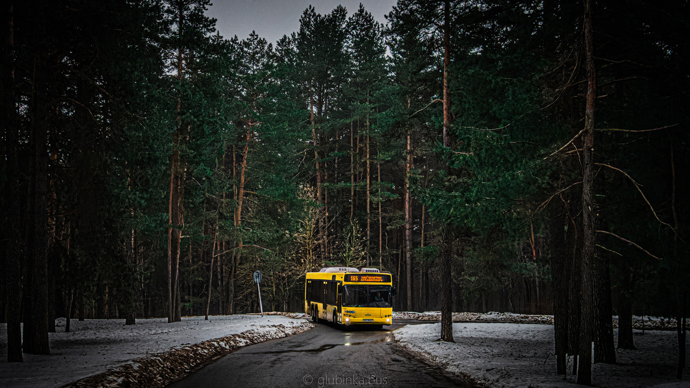 Минск, МАЗ-107.485 № 038989