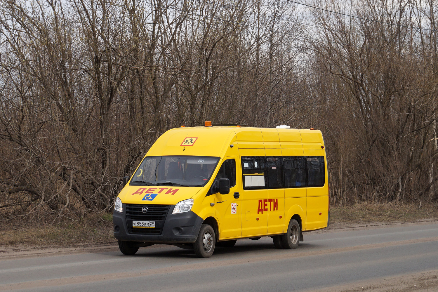 Архангельская область, Луидор-2250NC (ГАЗ Next) № О 858 КМ 29