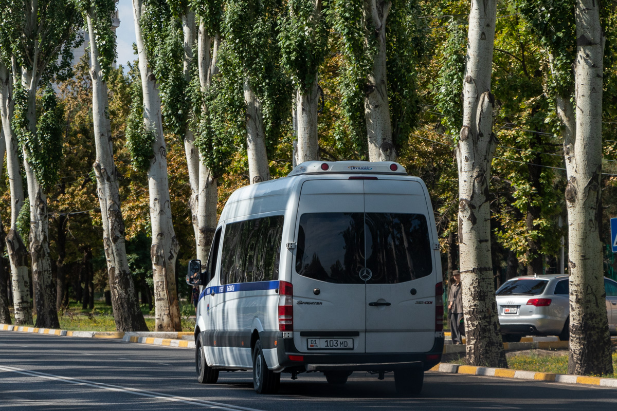 Кыргызстан, Mercedes-Benz Sprinter W906 313CDI № 01 103 MD