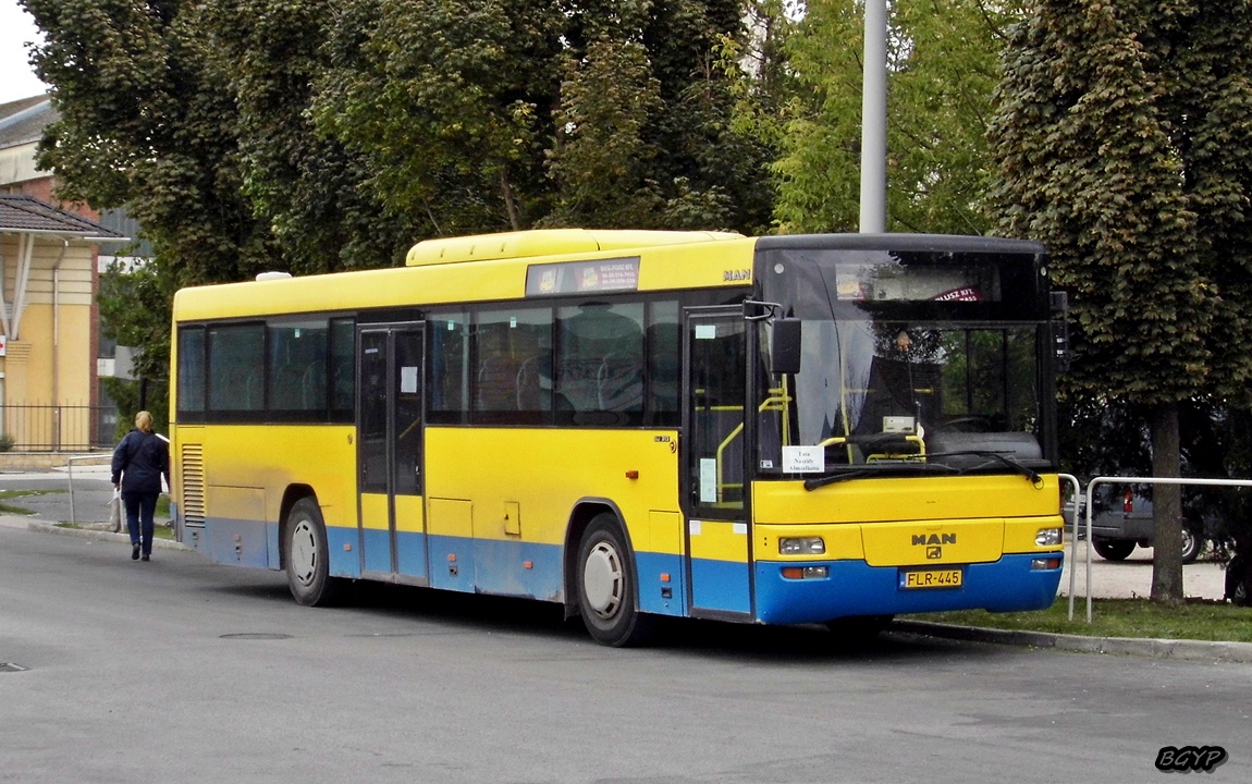 Венгрия, MAN A72 Lion's Classic SÜ313 № FLR-445
