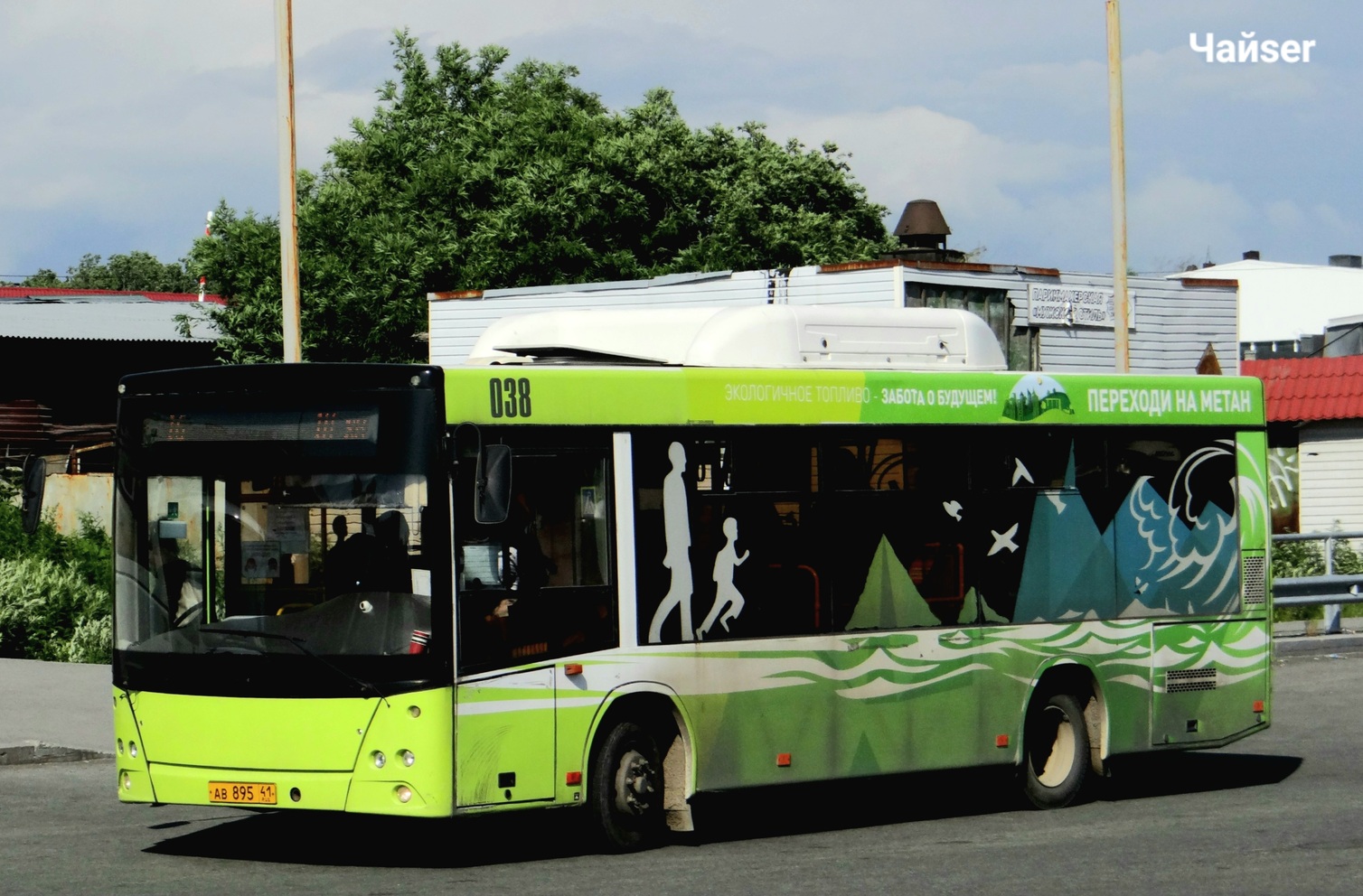 Камчатский край, Lotos-206 № 038