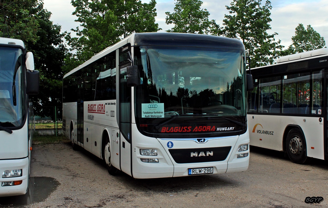 Венгрия, MAN R60 Lion's Intercity ÜL290 № 83918