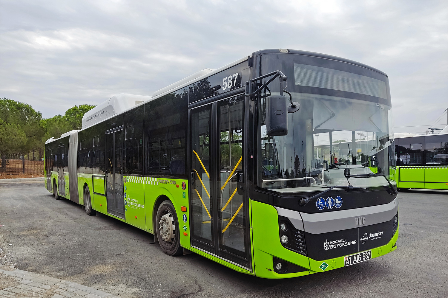 Турция, BMC Procity II 18LF CNG № 587