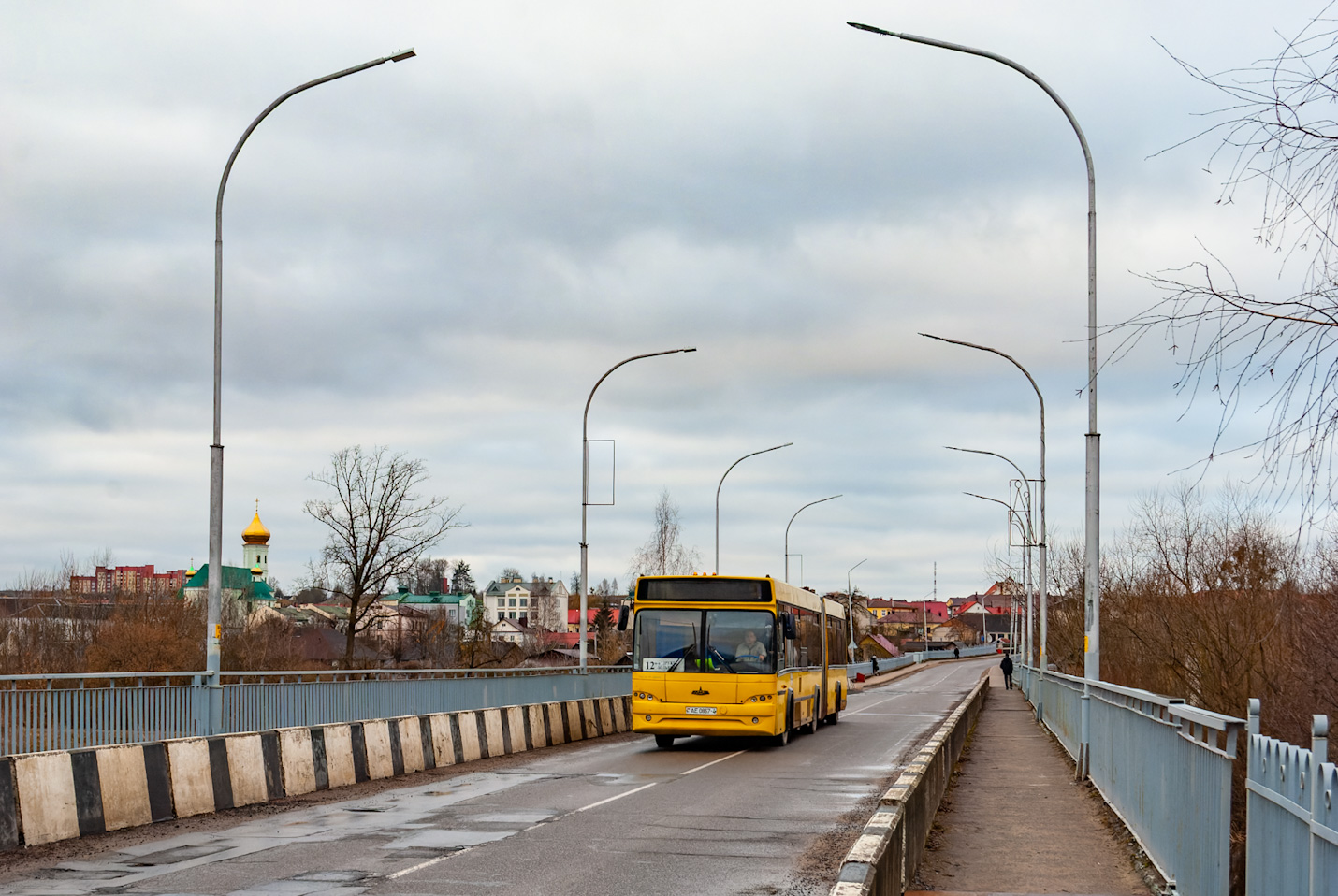 Гродненская область, МАЗ-105.465 № 013712