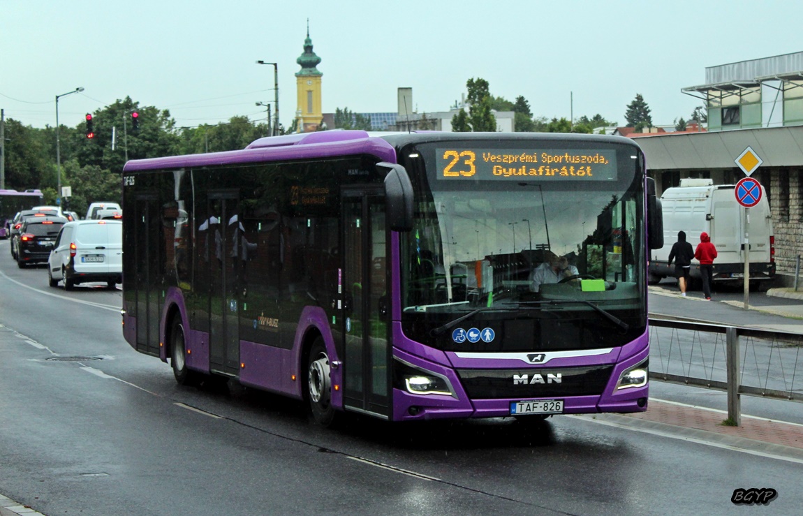 Венгрия, MAN 12C Lion's City 12 NL280 EfficientHybrid № TAF-826